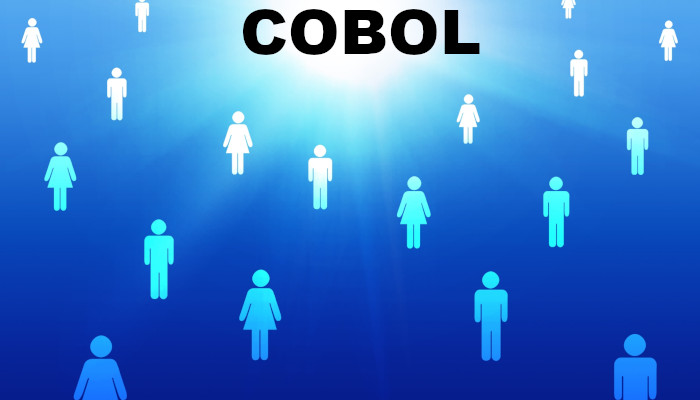 COBOL技術者募集